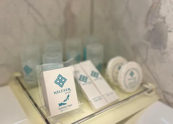 By Niluefer Hotel Bursa
