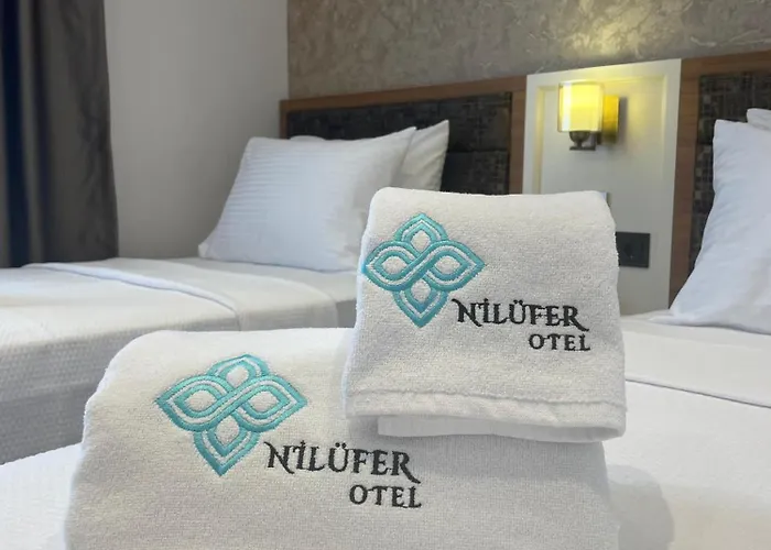 By Niluefer Hotel Bursa